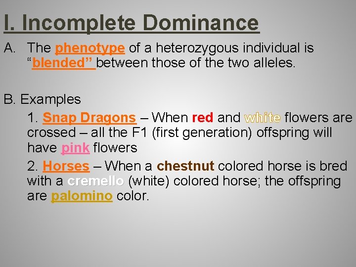 I. Incomplete Dominance A. The phenotype of a heterozygous individual is “blended” between those