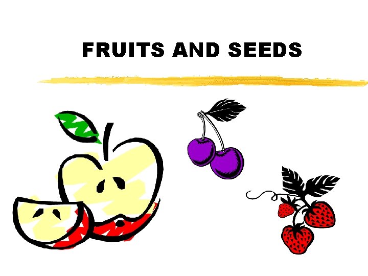 FRUITS AND SEEDS 