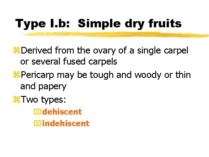 Type I. b: Simple dry fruits z. Derived from the ovary of a single