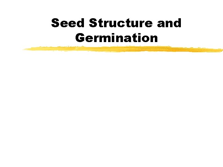 Seed Structure and Germination 