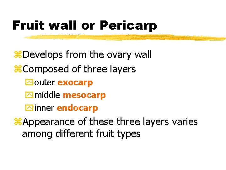 Fruit wall or Pericarp z. Develops from the ovary wall z. Composed of three