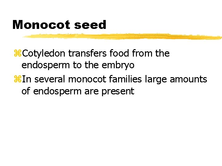 Monocot seed z. Cotyledon transfers food from the endosperm to the embryo z. In