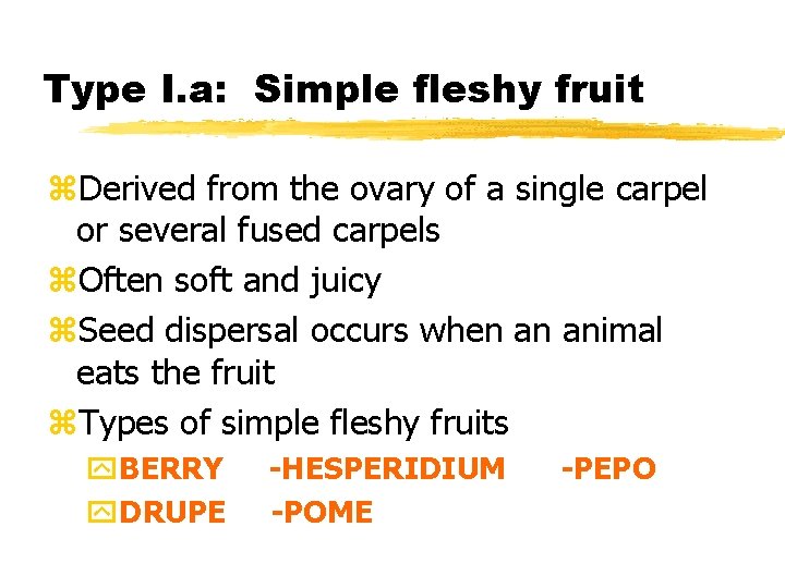 Type I. a: Simple fleshy fruit z. Derived from the ovary of a single