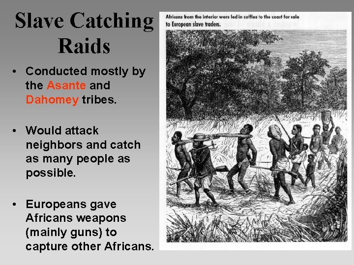 Slave Catching Raids • Conducted mostly by the Asante and Dahomey tribes. • Would