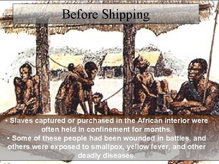 Before Shipping • Slaves captured or purchased in the African interior were often held