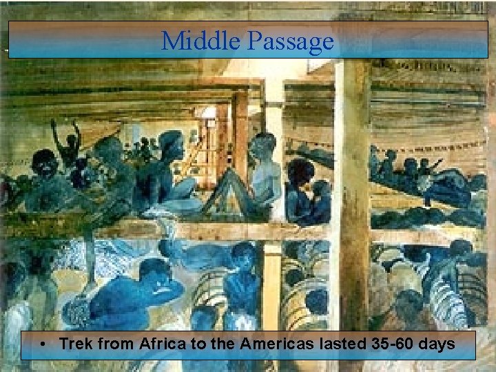 Middle Passage • Trek from Africa to the Americas lasted 35 -60 days 