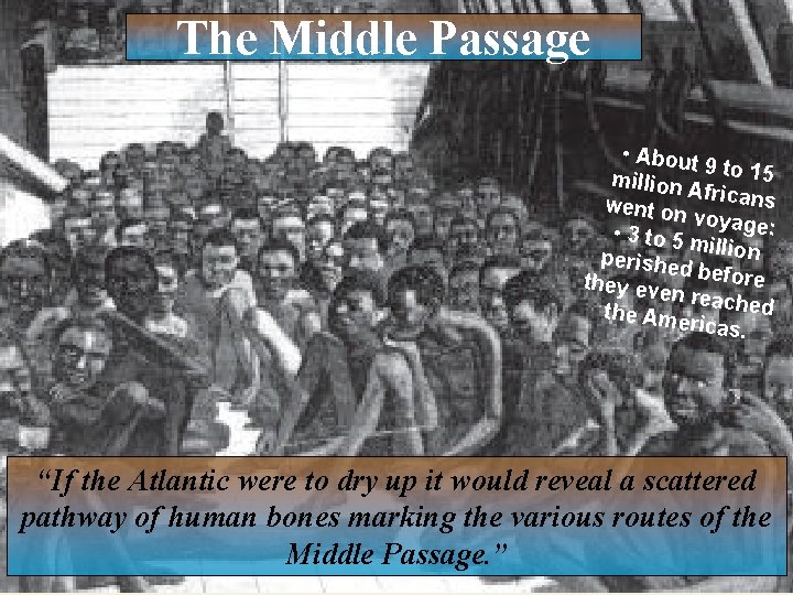 The Middle Passage • About 9 t million A o 15 fr went on