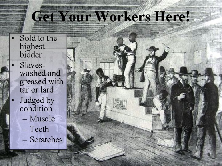 Get Your Workers Here! • Sold to the highest bidder • Slaveswashed and greased