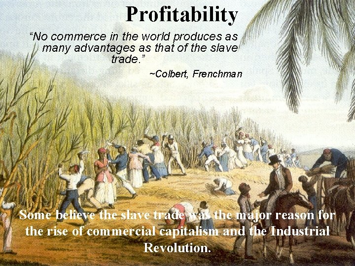 Profitability “No commerce in the world produces as many advantages as that of the