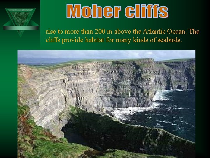 rise to more than 200 m above the Atlantic Ocean. The cliffs provide habitat