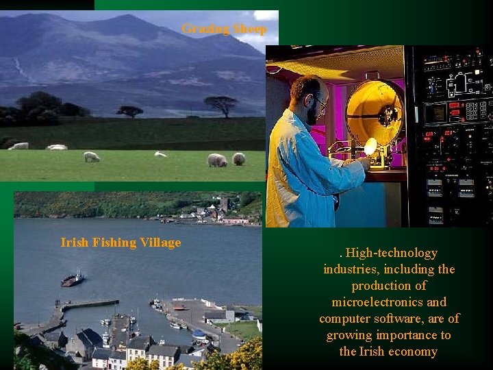 Grazing Sheep Irish Fishing Village . High-technology industries, including the production of microelectronics and