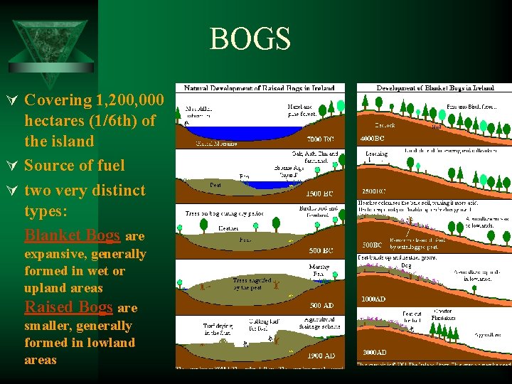 BOGS Ú Covering 1, 200, 000 hectares (1/6 th) of the island Ú Source