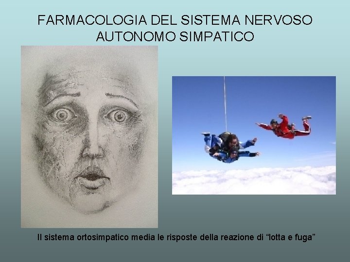 FARMACOLOGIA DEL SISTEMA NERVOSO AUTONOMO SIMPATICO Il sistema ortosimpatico media le risposte della reazione