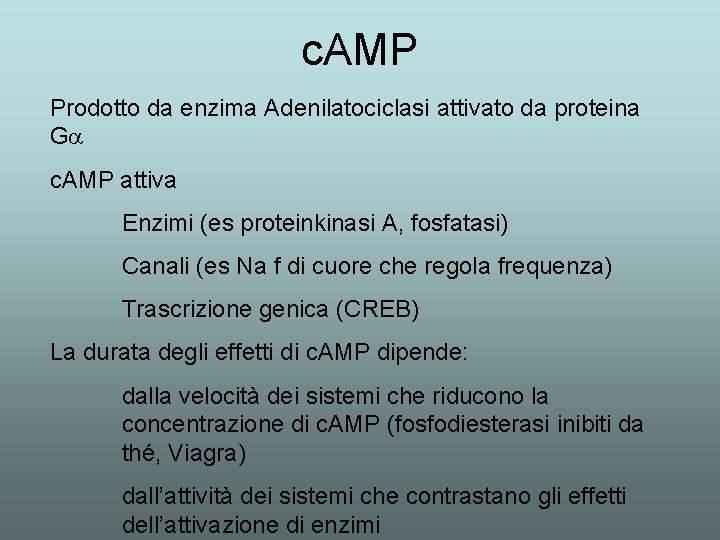 c. AMP Prodotto da enzima Adenilatociclasi attivato da proteina Ga c. AMP attiva Enzimi c. AMP Prodotto da enzima Adenilatociclasi attivato da proteina Ga c. AMP attiva Enzimi