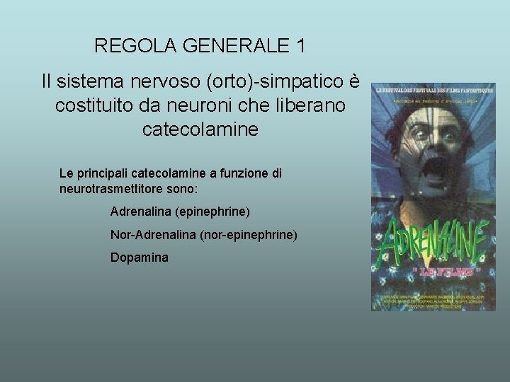 REGOLA GENERALE 1 Il sistema nervoso (orto)-simpatico è costituito da neuroni che liberano catecolamine