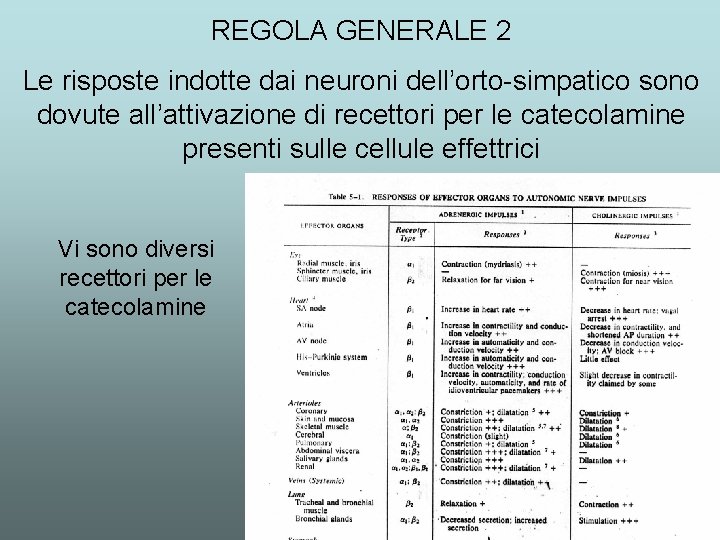 REGOLA GENERALE 2 Le risposte indotte dai neuroni dell’orto-simpatico sono dovute all’attivazione di recettori