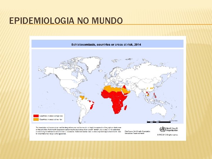 EPIDEMIOLOGIA NO MUNDO 