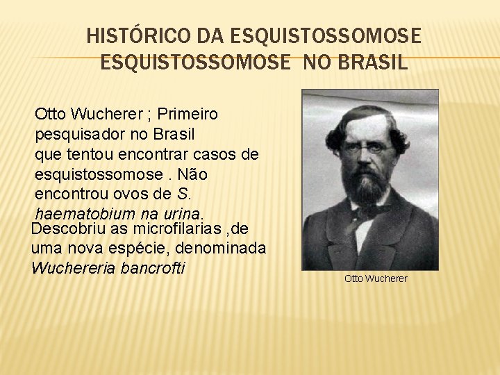 HISTÓRICO DA ESQUISTOSSOMOSE NO BRASIL Otto Wucherer ; Primeiro pesquisador no Brasil que tentou