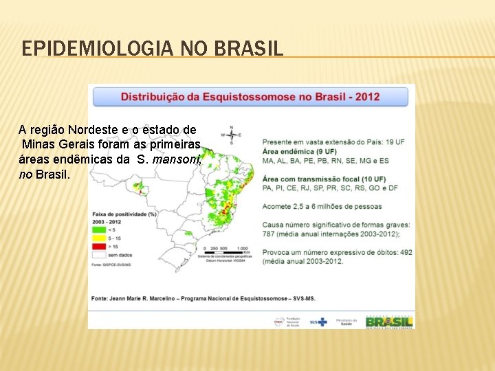 EPIDEMIOLOGIA NO BRASIL A região Nordeste e o estado de Minas Gerais foram as