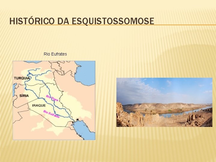 HISTÓRICO DA ESQUISTOSSOMOSE Rio Eufrates 