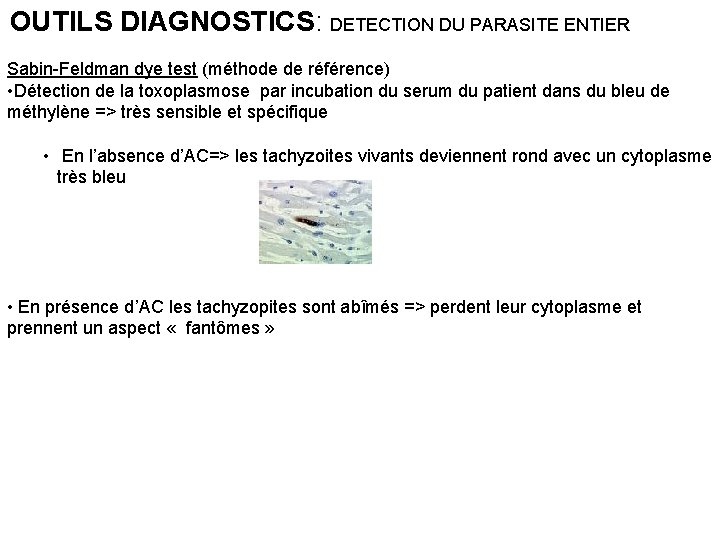 OUTILS DIAGNOSTICS: DETECTION DU PARASITE ENTIER Sabin-Feldman dye test (méthode de référence) • Détection OUTILS DIAGNOSTICS: DETECTION DU PARASITE ENTIER Sabin-Feldman dye test (méthode de référence) • Détection