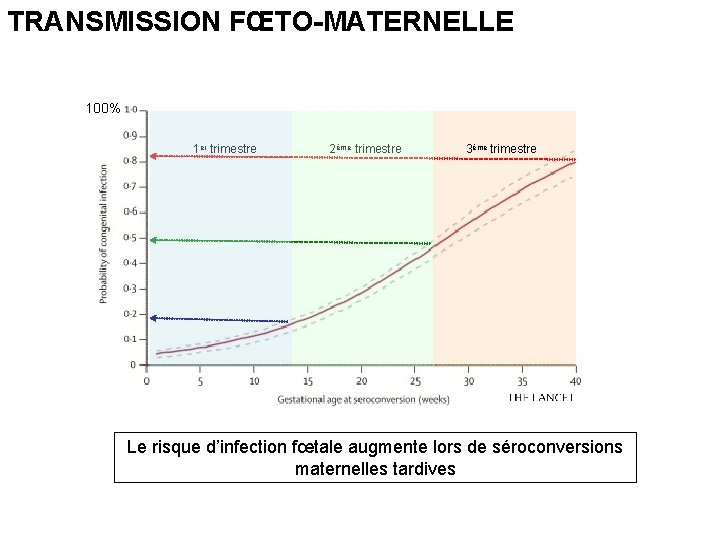 TRANSMISSION FŒTO-MATERNELLE 100% 1 er trimestre 2ème trimestre 3ème trimestre Le risque d’infection fœtale TRANSMISSION FŒTO-MATERNELLE 100% 1 er trimestre 2ème trimestre 3ème trimestre Le risque d’infection fœtale