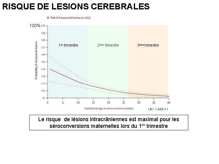 RISQUE DE LESIONS CEREBRALES 100% 1 er trimestre 2ème trimestre 3ème trimestre Le risque RISQUE DE LESIONS CEREBRALES 100% 1 er trimestre 2ème trimestre 3ème trimestre Le risque