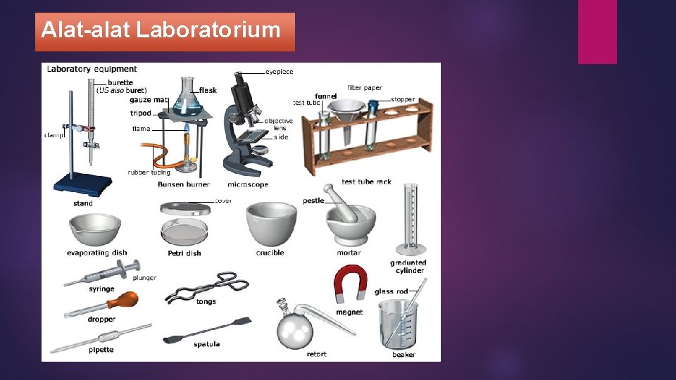 Alat-alat Laboratorium 