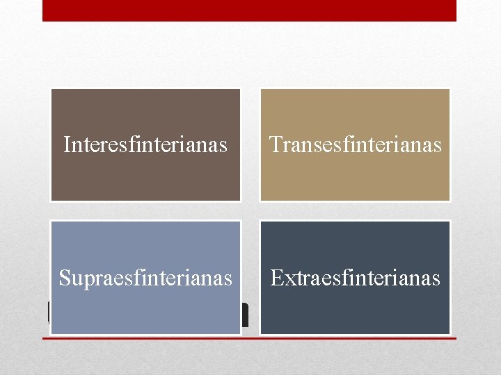 Interesfinterianas Transesfinterianas Supraesfinterianas Extraesfinterianas Clasificación 