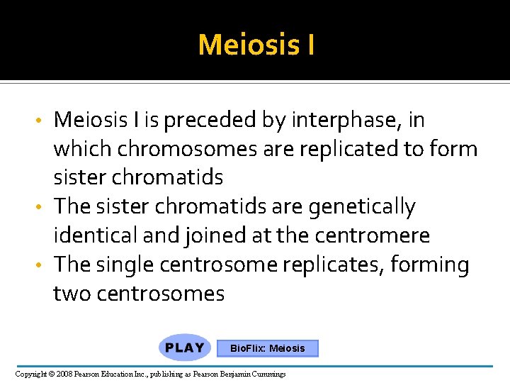 Meiosis I is preceded by interphase, in which chromosomes are replicated to form sister