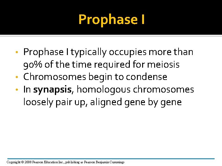 Prophase I typically occupies more than 90% of the time required for meiosis •