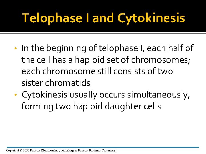 Telophase I and Cytokinesis In the beginning of telophase I, each half of the