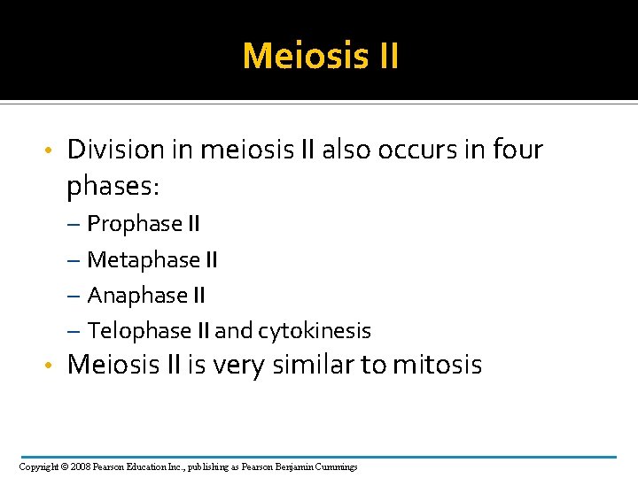 Meiosis II • Division in meiosis II also occurs in four phases: – Prophase