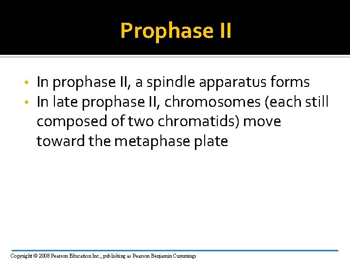 Prophase II • • In prophase II, a spindle apparatus forms In late prophase