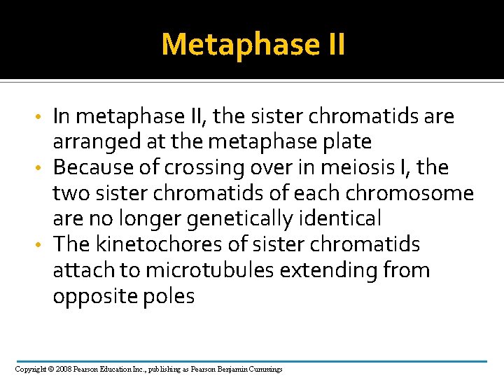 Metaphase II In metaphase II, the sister chromatids are arranged at the metaphase plate