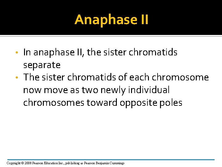 Anaphase II In anaphase II, the sister chromatids separate • The sister chromatids of