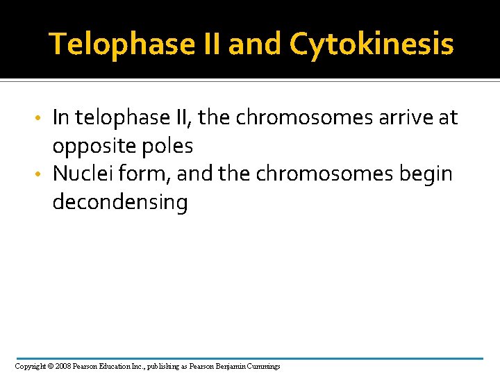 Telophase II and Cytokinesis In telophase II, the chromosomes arrive at opposite poles •