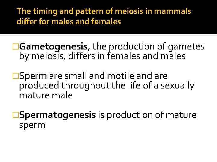 The timing and pattern of meiosis in mammals differ for males and females �Gametogenesis,