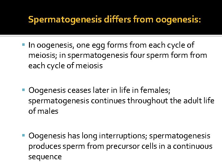  • Spermatogenesis differs from oogenesis: In oogenesis, one egg forms from each cycle