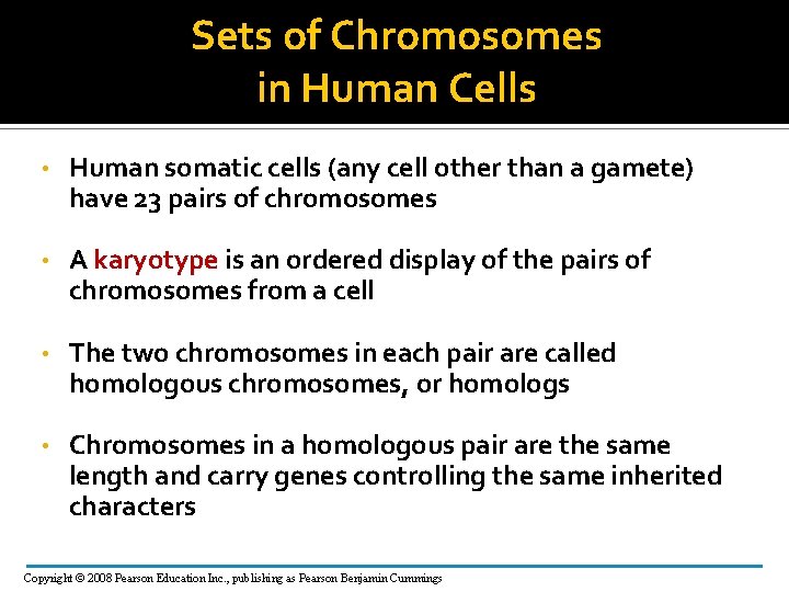 Sets of Chromosomes in Human Cells • Human somatic cells (any cell other than