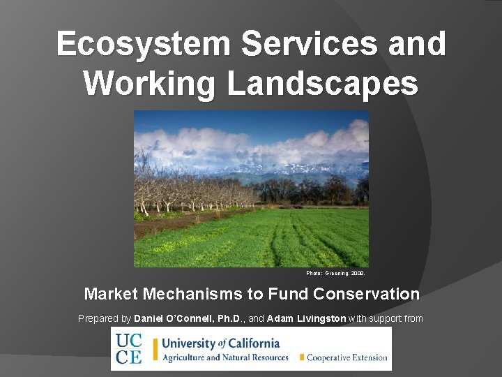 Ecosystem Services and Working Landscapes Photo: Greening, 2009. Market Mechanisms to Fund Conservation Prepared