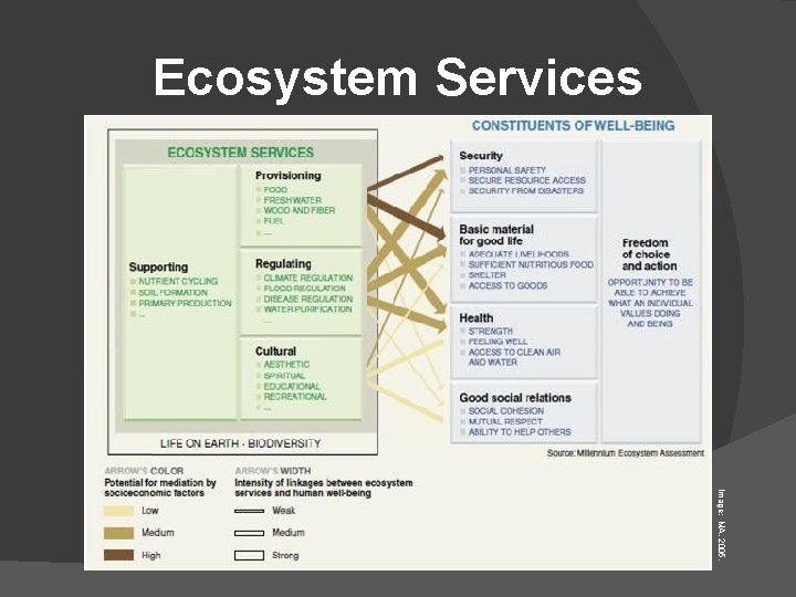 Ecosystem Services Image: MA, 2005. 