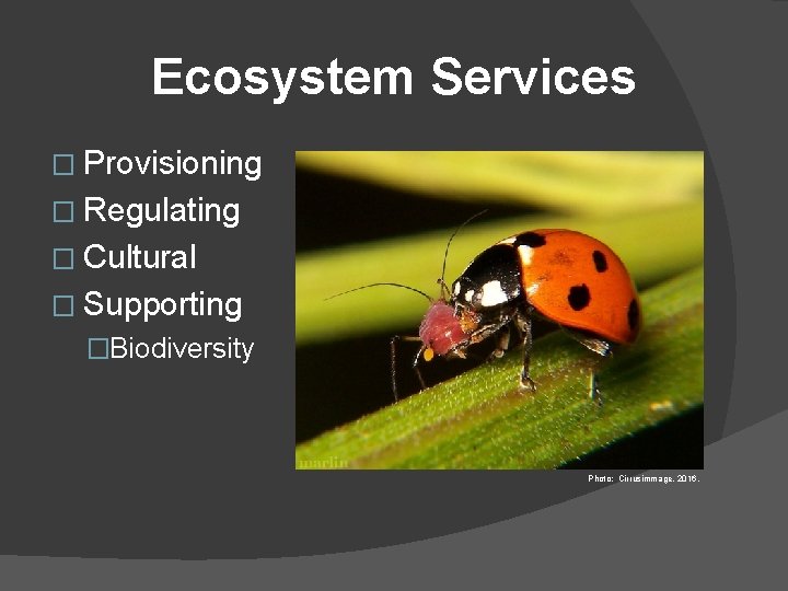 Ecosystem Services � Provisioning � Regulating � Cultural � Supporting �Biodiversity Photo: Cirrusimmage, 2016.