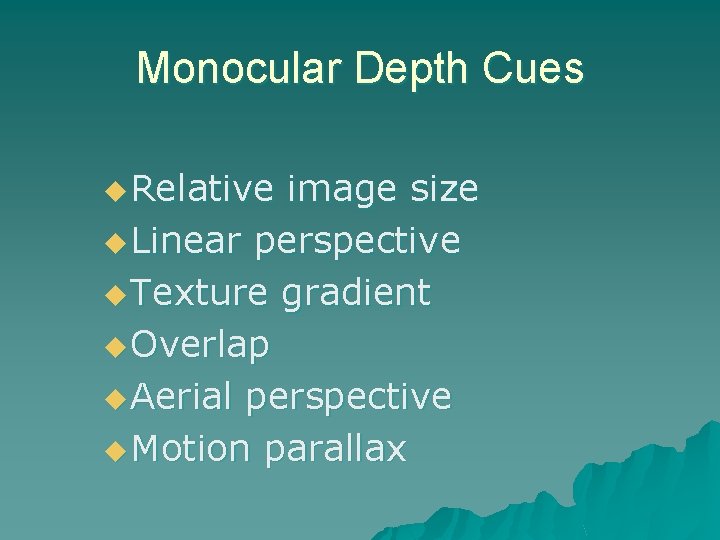 Monocular Depth Cues u Relative image size u Linear perspective u Texture gradient u