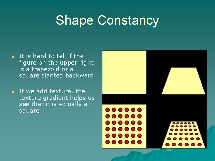 Shape Constancy u It is hard to tell if the figure on the upper