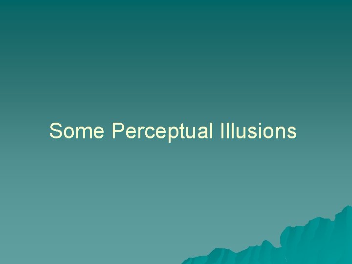 Some Perceptual Illusions 