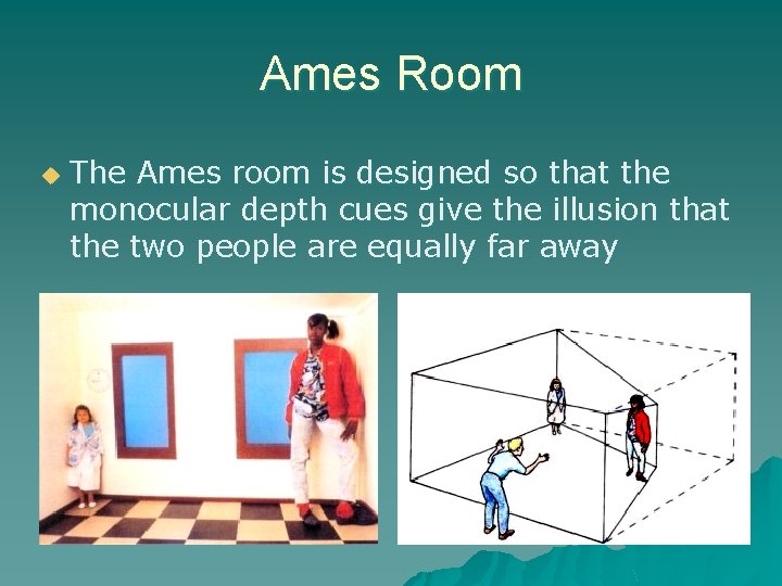 Ames Room u The Ames room is designed so that the monocular depth cues