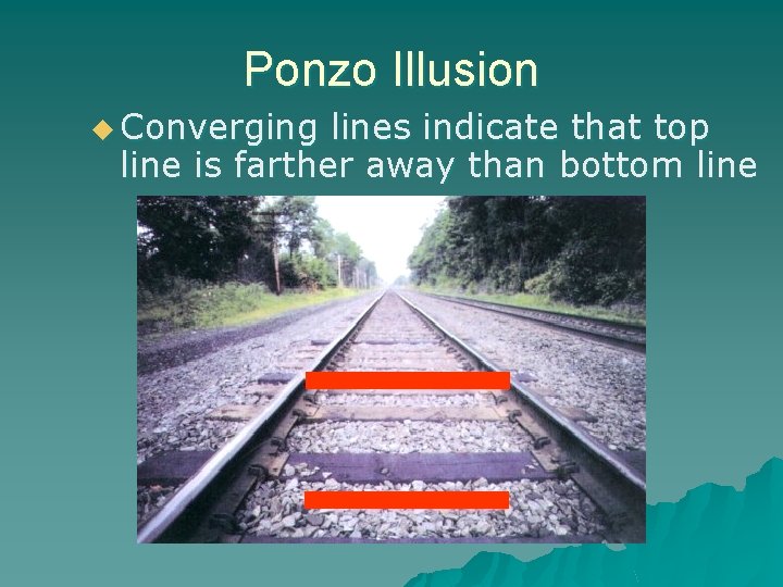 Ponzo Illusion u Converging lines indicate that top line is farther away than bottom