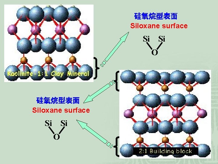 硅氧烷型表面 Siloxane surface Si Si O 