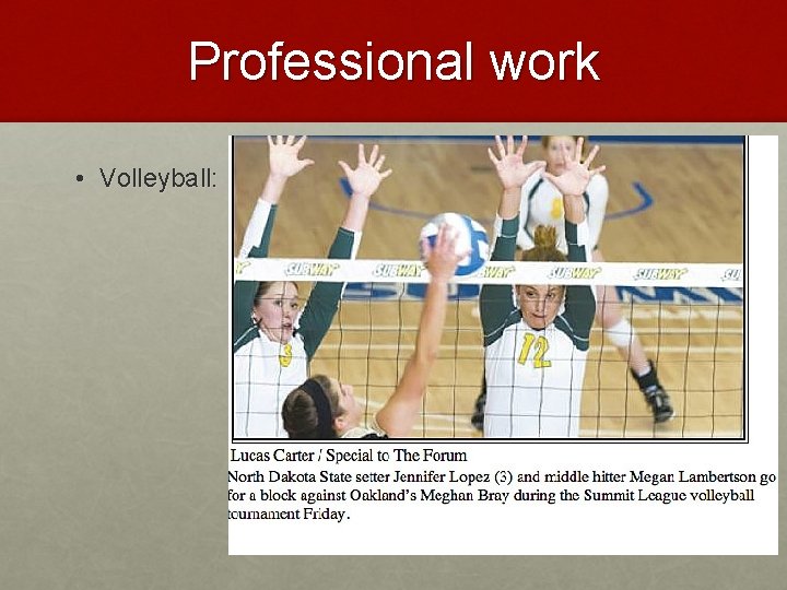 Professional work • Volleyball: 